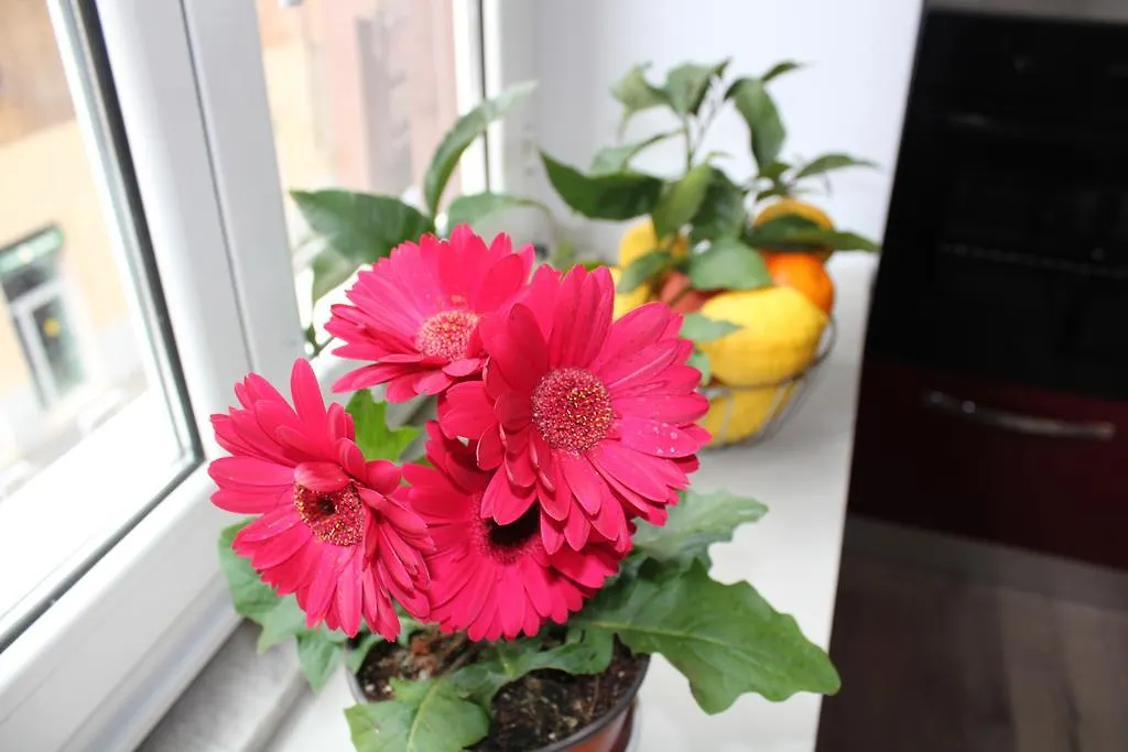 B&B Gallia'S Rooms Roma Bed & Breakfast